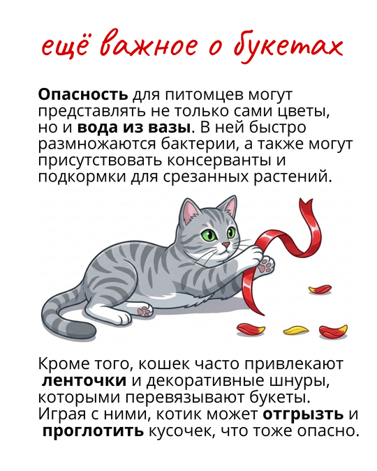 Что делать если кошка съела опасный цветок