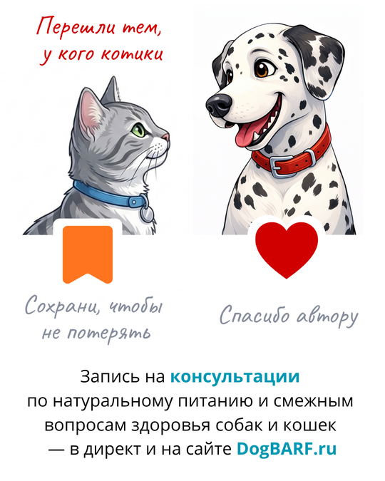 Памятка по опасным растениям для питомцев