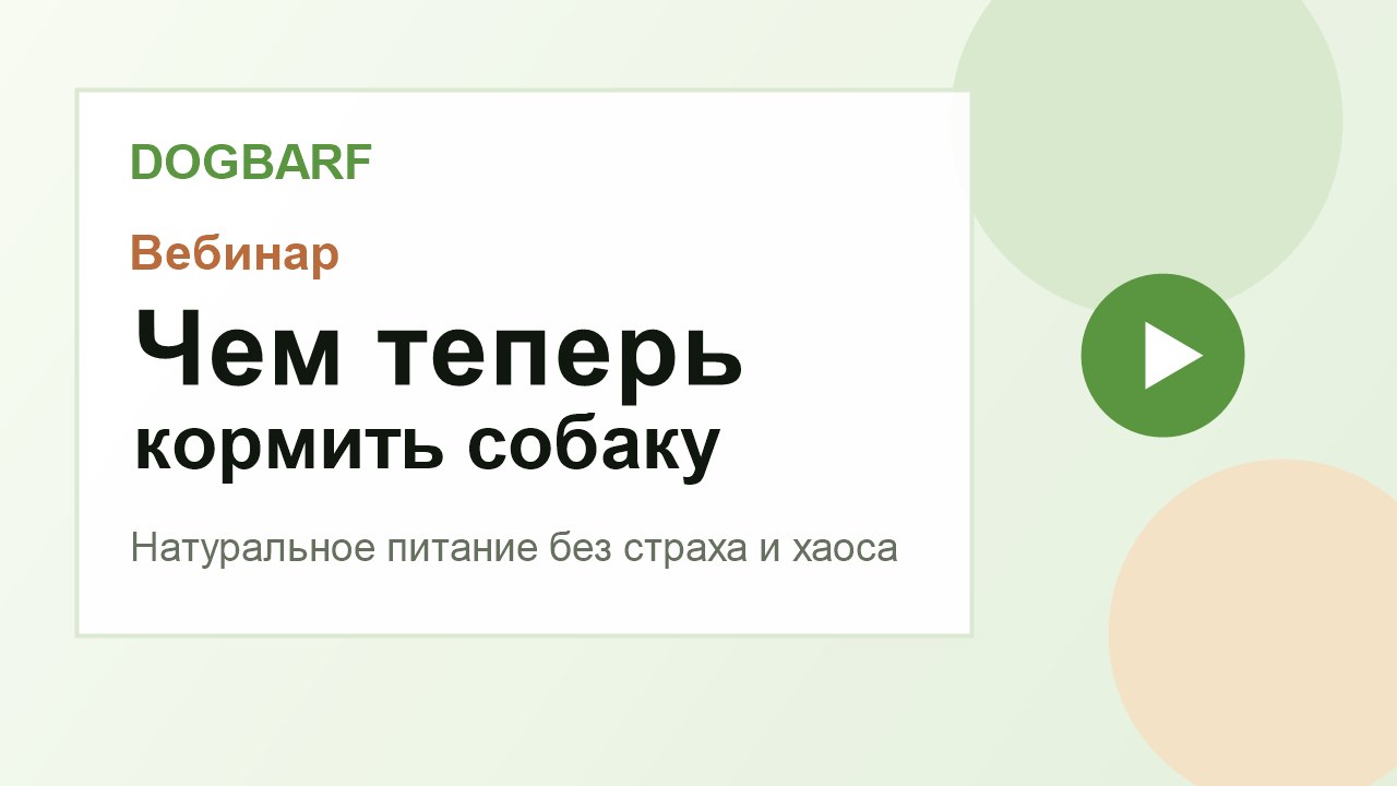 Вебинар «Чем теперь кормить собаку»