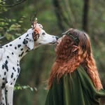 @doc.for_dog