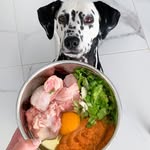 @dogbarf.ru