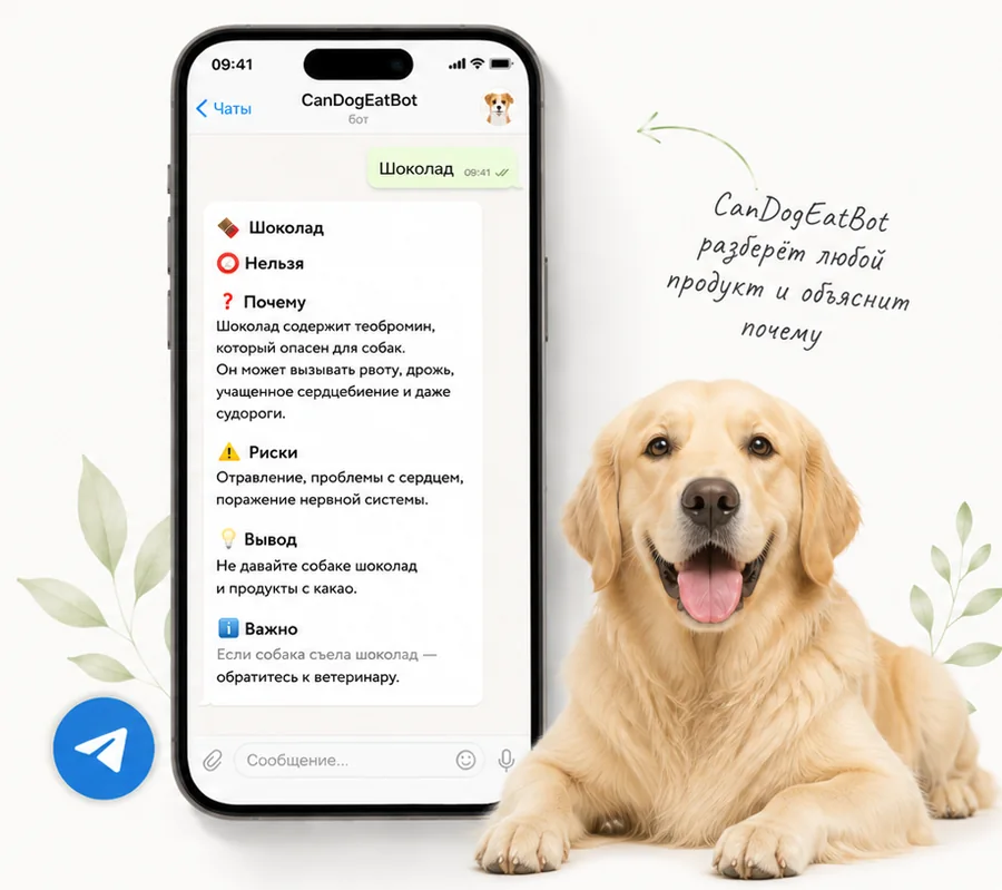 Telegram-бот CanDogEatBot для проверки продуктов для собак