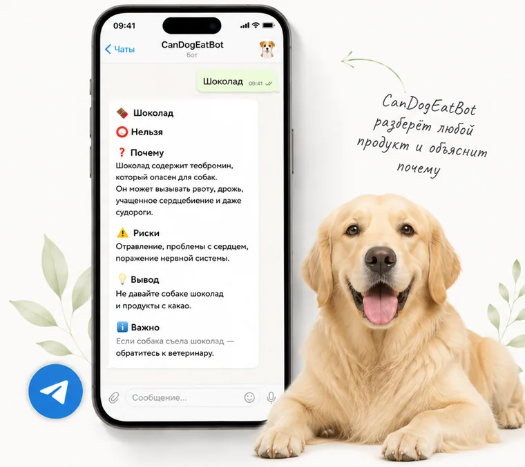 Telegram-бот CanDogEatBot для проверки продуктов для собак