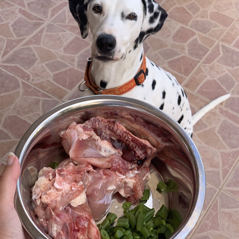 Миска с мясным рационом для собаки